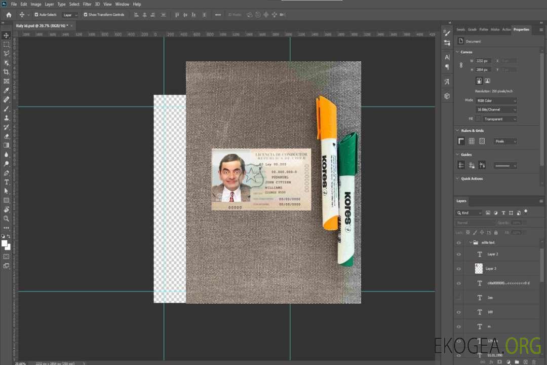 Chili licence de conducteur photolook FRONT template